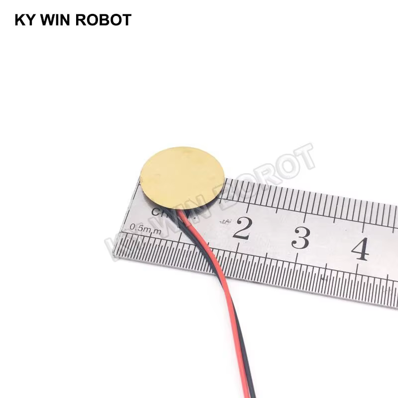 10 adet Piezoelektrik Piezo Se - R/Diy Electronics incelemesi ve fiyatı